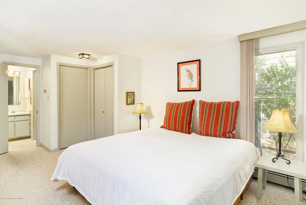 9 of 14 - 935 E Hopkins Avenue 6, Aspen, CO