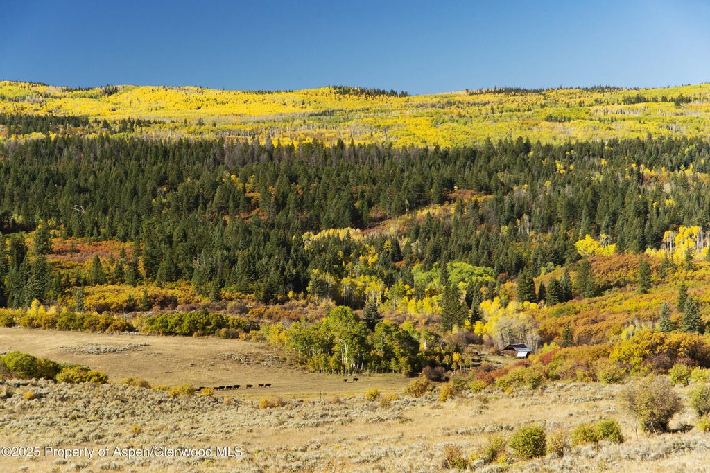 31 of 70 - 2711 2833 County Road 117, Glenwood Springs, CO