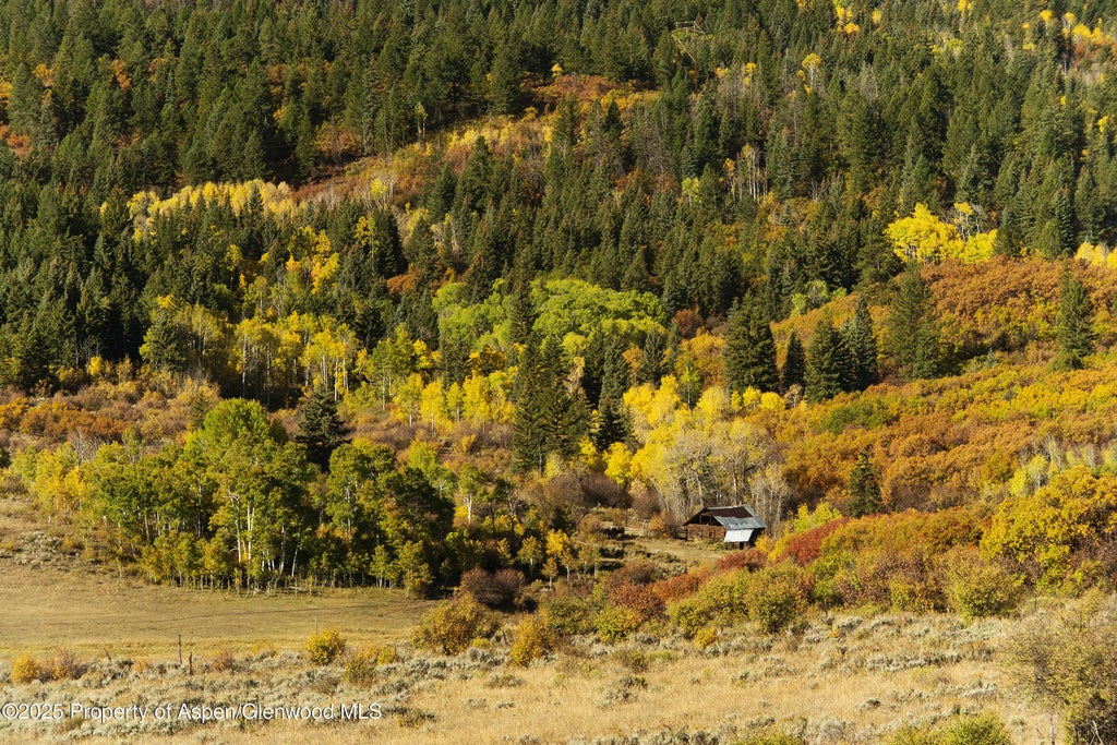 33 of 70 - 2711 2833 County Road 117, Glenwood Springs, CO