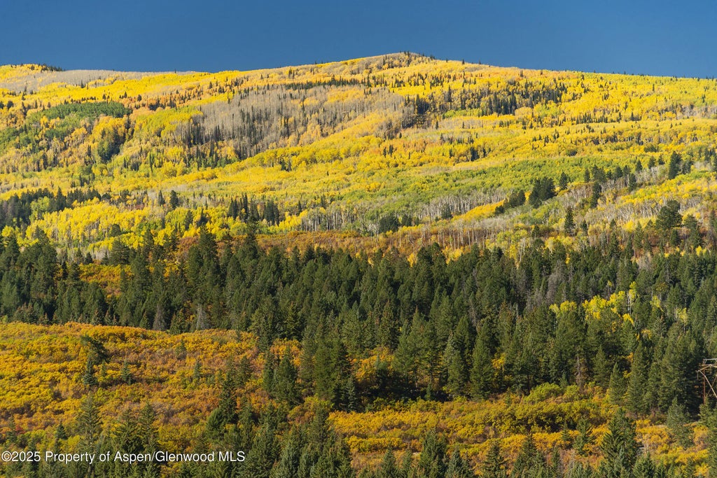 34 of 70 - 2711 2833 County Road 117, Glenwood Springs, CO