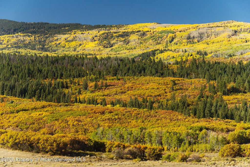 36 of 70 - 2711 2833 County Road 117, Glenwood Springs, CO