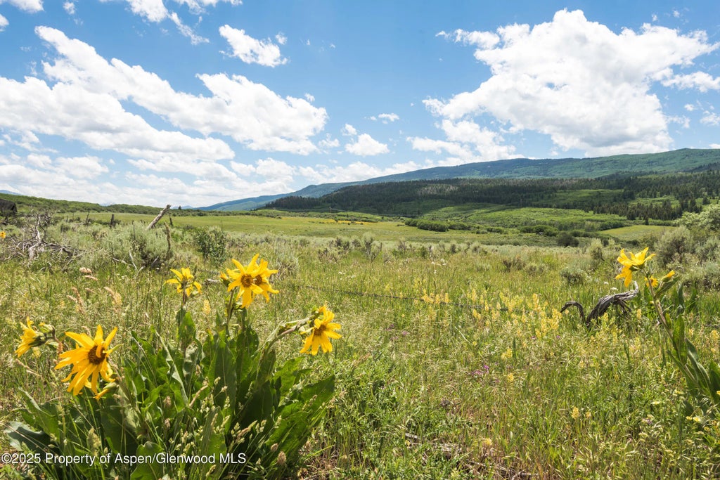 42 of 70 - 2711 2833 County Road 117, Glenwood Springs, CO