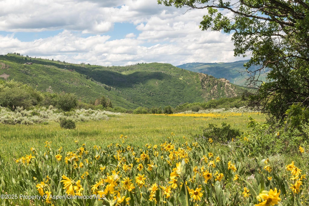 47 of 70 - 2711 2833 County Road 117, Glenwood Springs, CO