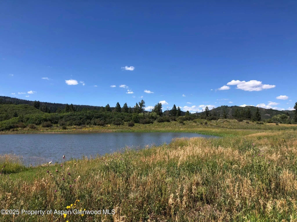 6 of 70 - 2711 2833 County Road 117, Glenwood Springs, CO