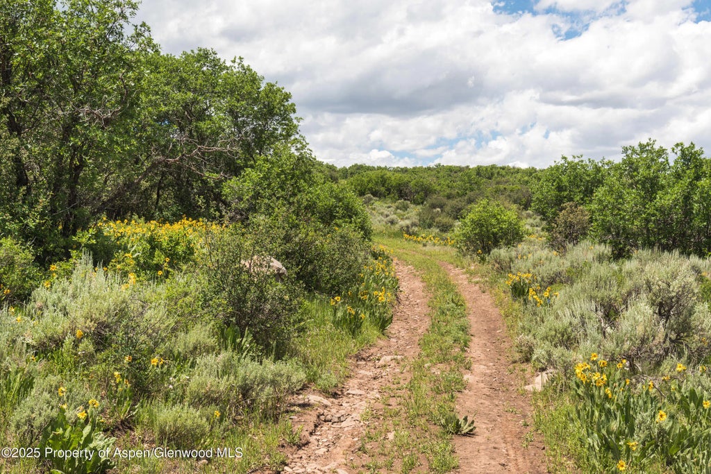 7 of 70 - 2711 2833 County Road 117, Glenwood Springs, CO