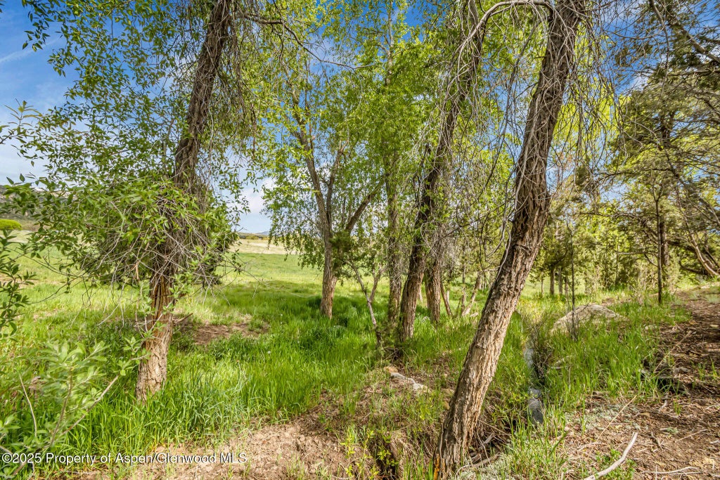 12 of 18 - N/A, Silt, CO