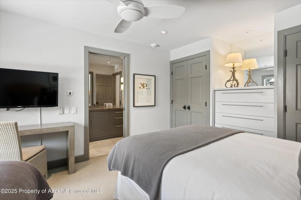 17 of 22 - 610 S West End Street K201, Aspen, CO