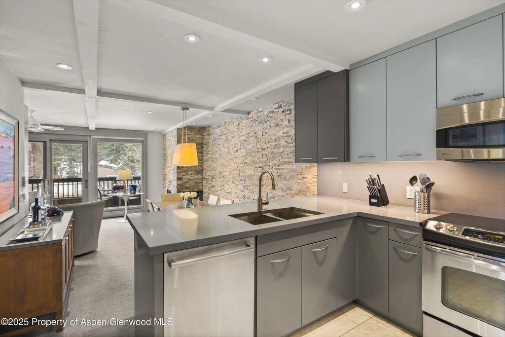 8 of 22 - 610 S West End Street K201, Aspen, CO