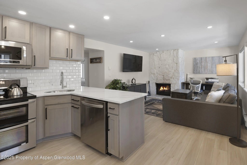 3 of 15 - 940 Waters Avenue #201, Aspen, CO