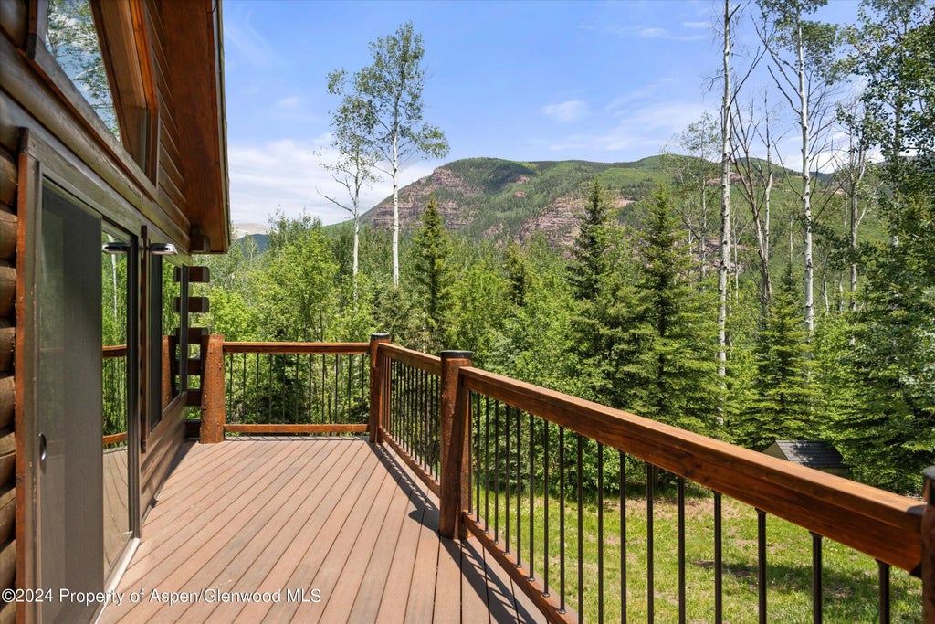 19 of 33 - 450 Coal Creek Road, Redstone, CO