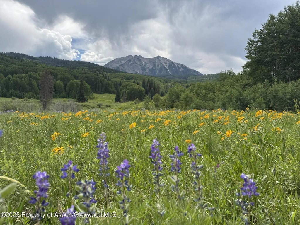 1 of 1 - Tdr Tdr, Aspen, CO