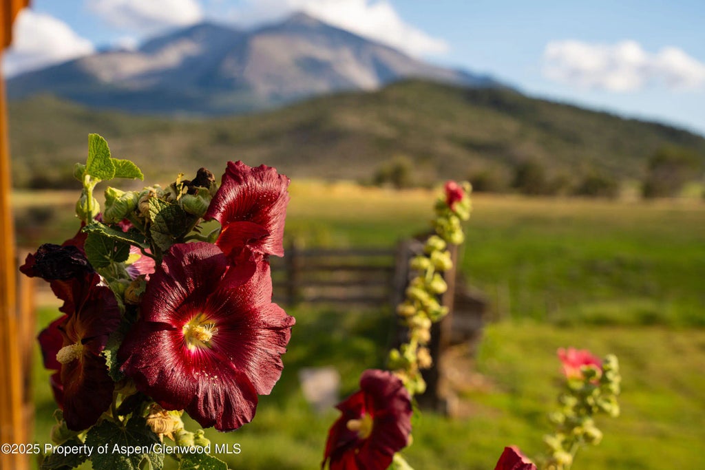 68 of 80 - 1644 Prince Creek Road, Carbondale, CO