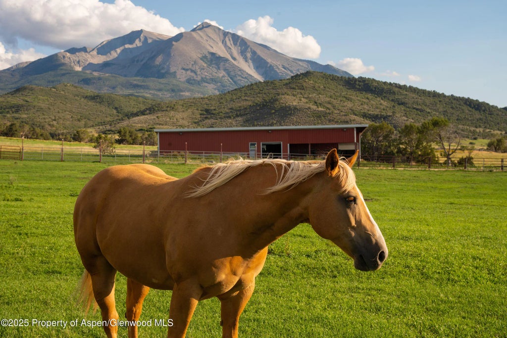 73 of 80 - 1644 Prince Creek Road, Carbondale, CO