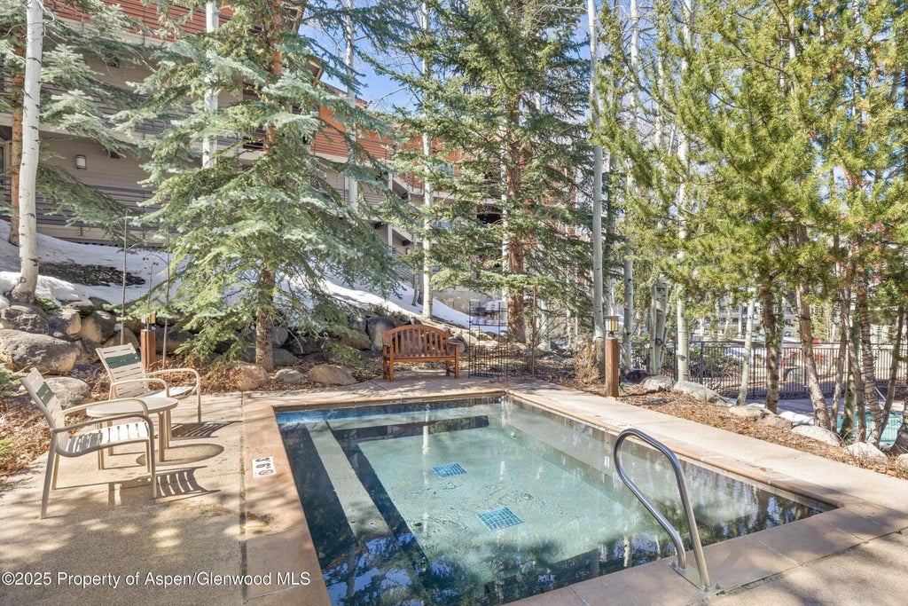 17 of 22 - 360 Wood Road Unit 503, Snowmass Village, CO