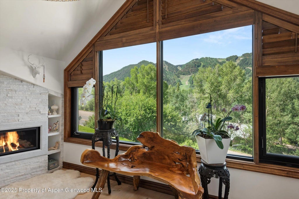 10 of 27 - 155 Lone Pine Road Road 9, Aspen, CO