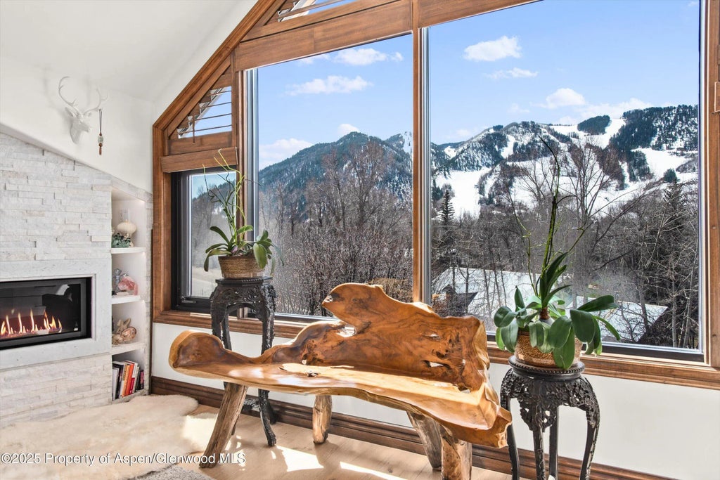 12 of 27 - 155 Lone Pine Road Road 9, Aspen, CO