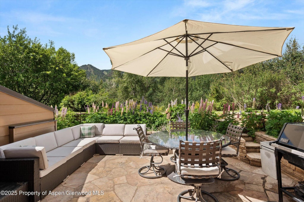 20 of 27 - 155 Lone Pine Road Road 9, Aspen, CO