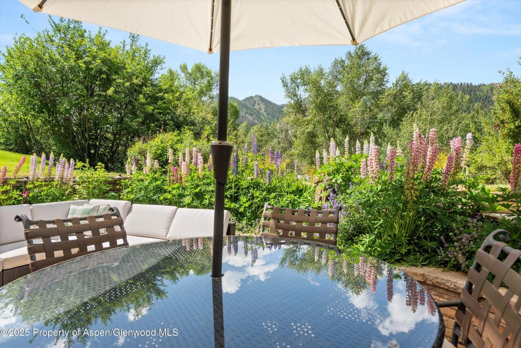 21 of 27 - 155 Lone Pine Road Road 9, Aspen, CO