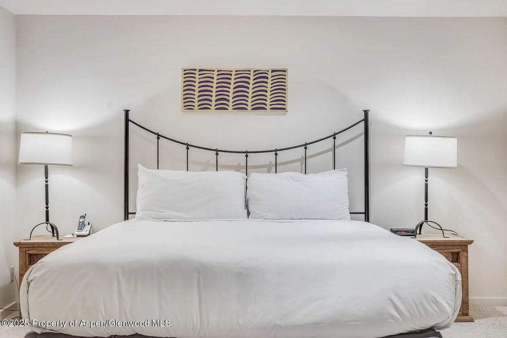 49 of 64 - 851 Ute Avenue B, Aspen, CO