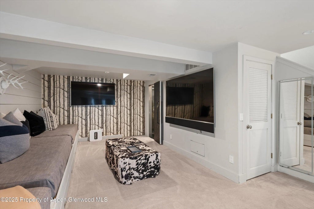 20 of 22 - 100 N 8th Street 18, Aspen, CO
