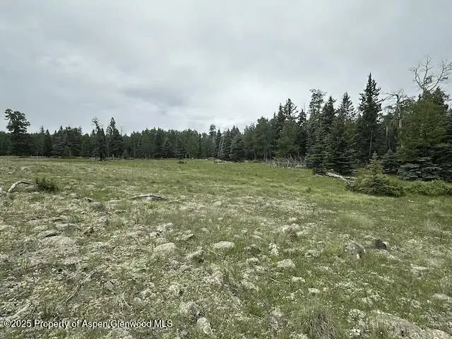 15 of 20 - 49 Acres Off El Camino Real, Angel Fire, NM