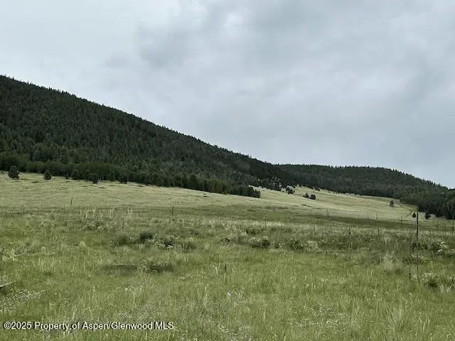 18 of 20 - 49 Acres Off El Camino Real, Angel Fire, NM