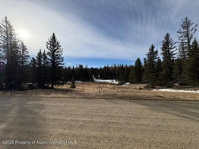 4 of 20 - 49 Acres Off El Camino Real, Angel Fire, NM