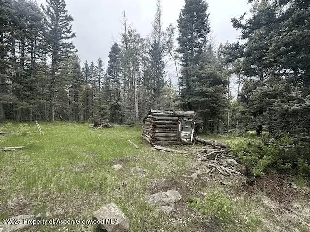 5 of 20 - 49 Acres Off El Camino Real, Angel Fire, NM