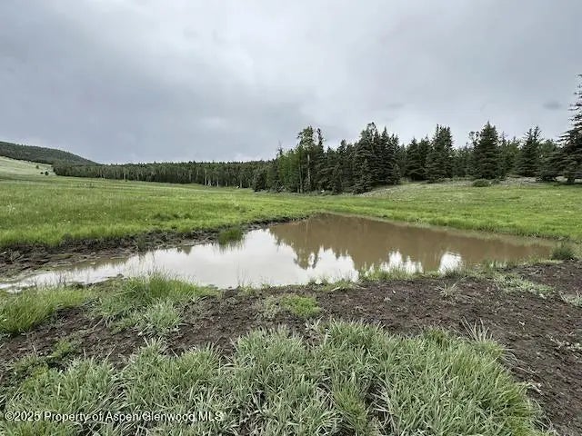 7 of 20 - 49 Acres Off El Camino Real, Angel Fire, NM