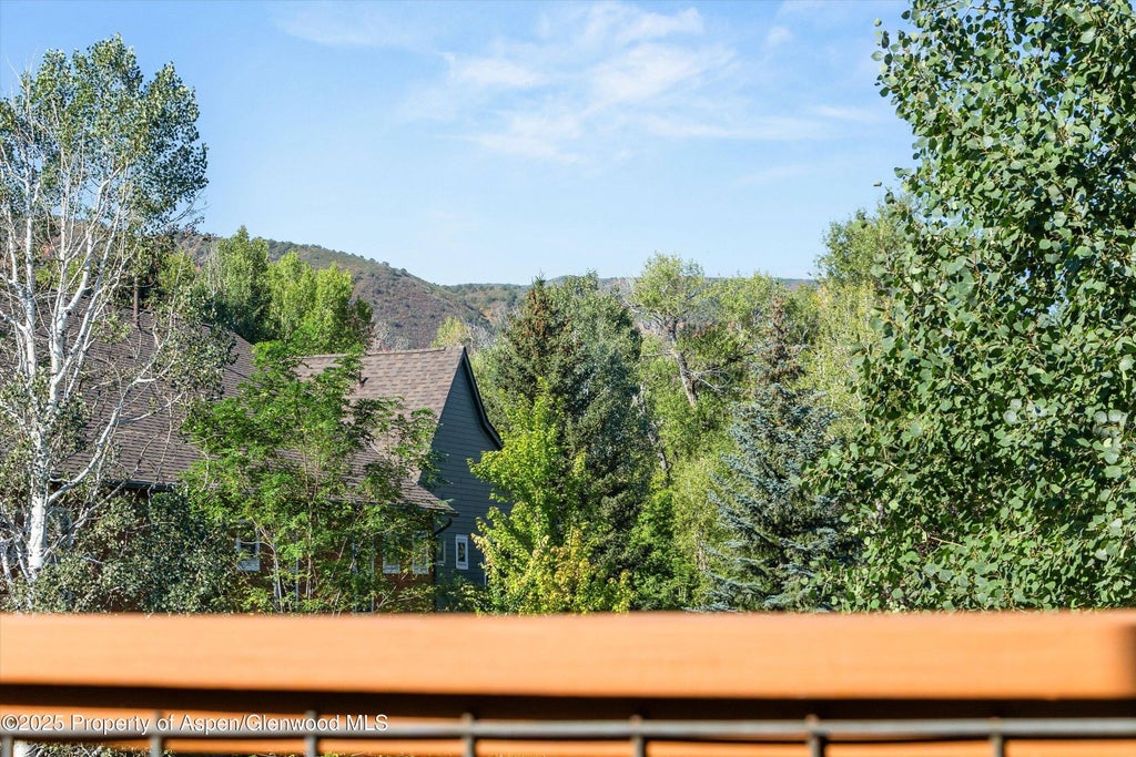 11 of 24 - 540 Evans Court, Basalt, CO