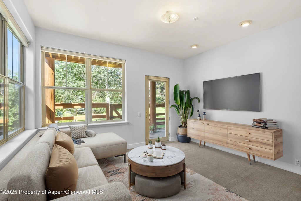 20 of 24 - 540 Evans Court, Basalt, CO