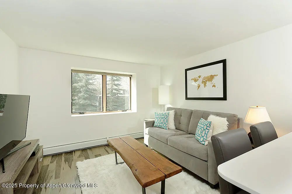 1 of 10 - 119 E Cooper Avenue 27, Aspen, CO