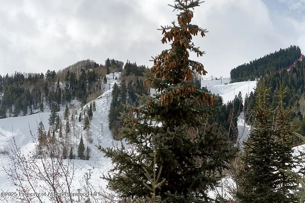 9 of 10 - 119 E Cooper Avenue 27, Aspen, CO
