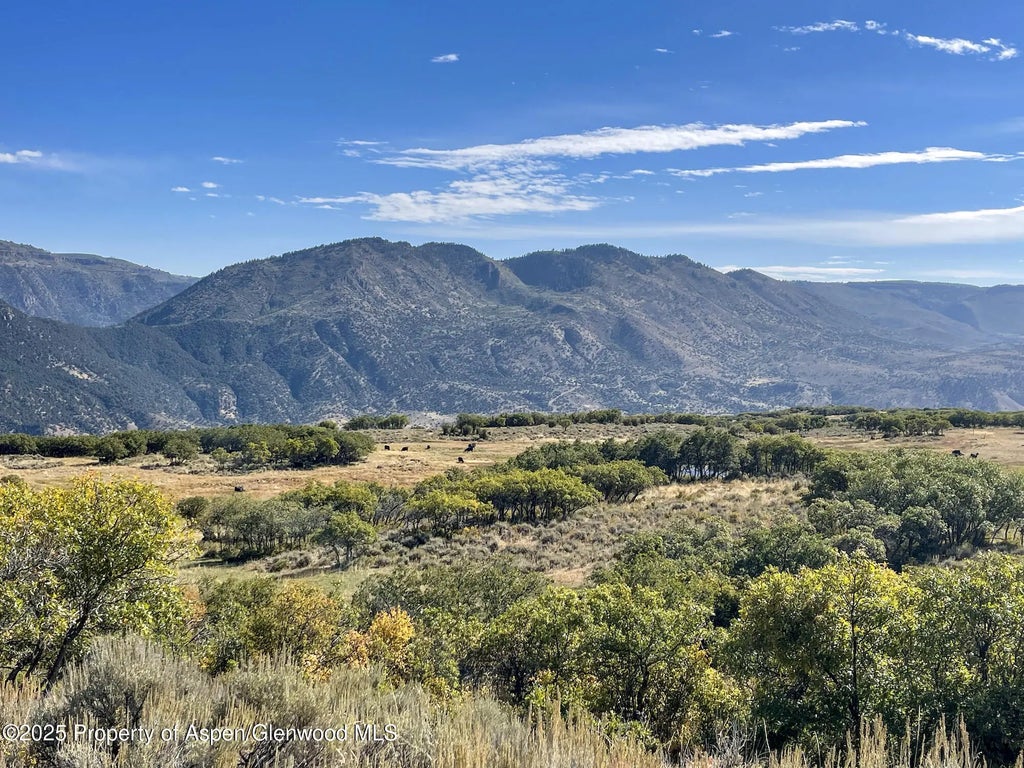 10 of 37 - 22000 P77 Rd Road, Cimarron, CO