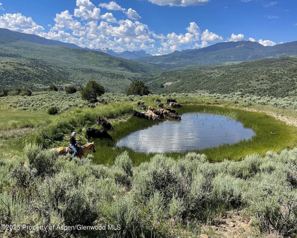 12 of 37 - 22000 P77 Rd Road, Cimarron, CO