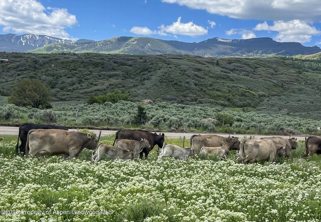 16 of 37 - 22000 P77 Rd Road, Cimarron, CO