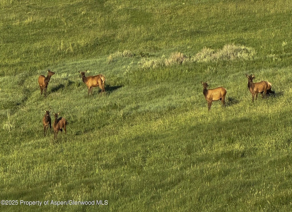 19 of 37 - 22000 P77 Rd Road, Cimarron, CO