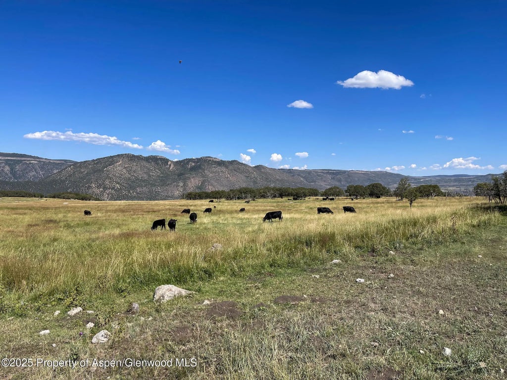 24 of 37 - 22000 P77 Rd Road, Cimarron, CO