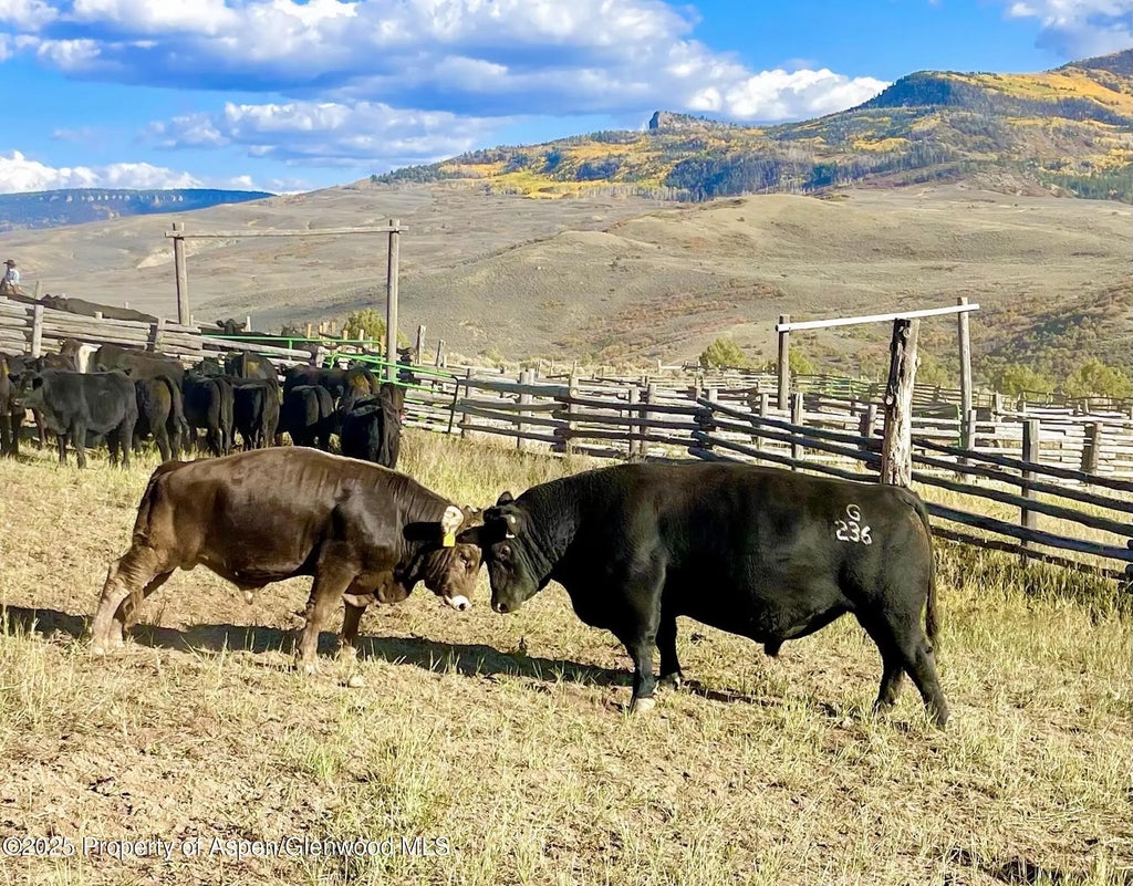 25 of 37 - 22000 P77 Rd Road, Cimarron, CO