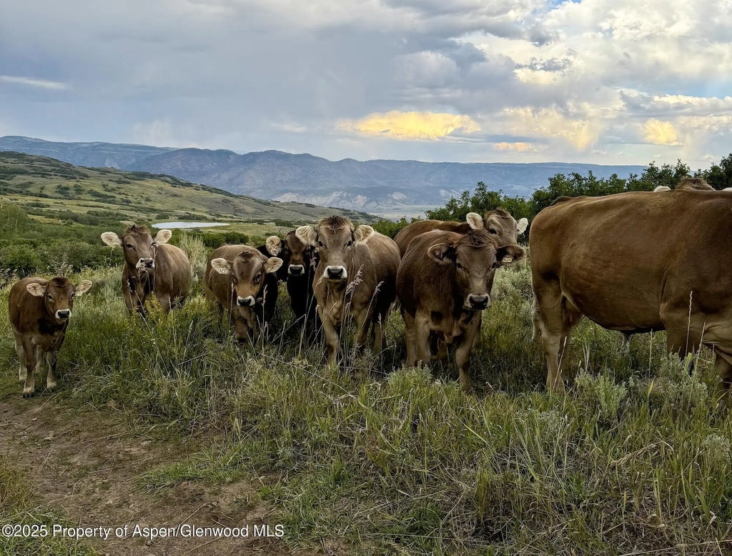 26 of 37 - 22000 P77 Rd Road, Cimarron, CO