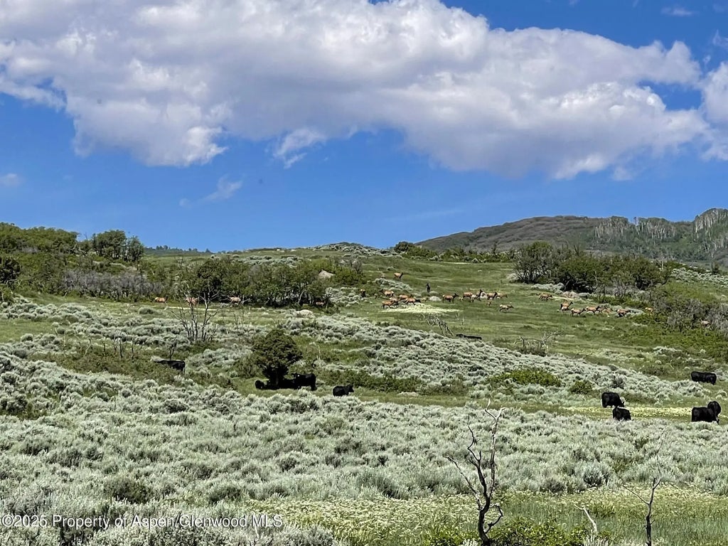 28 of 37 - 22000 P77 Rd Road, Cimarron, CO