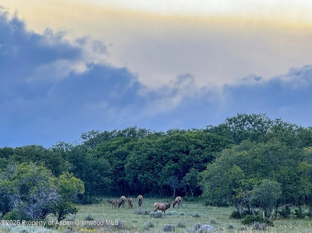 29 of 37 - 22000 P77 Rd Road, Cimarron, CO