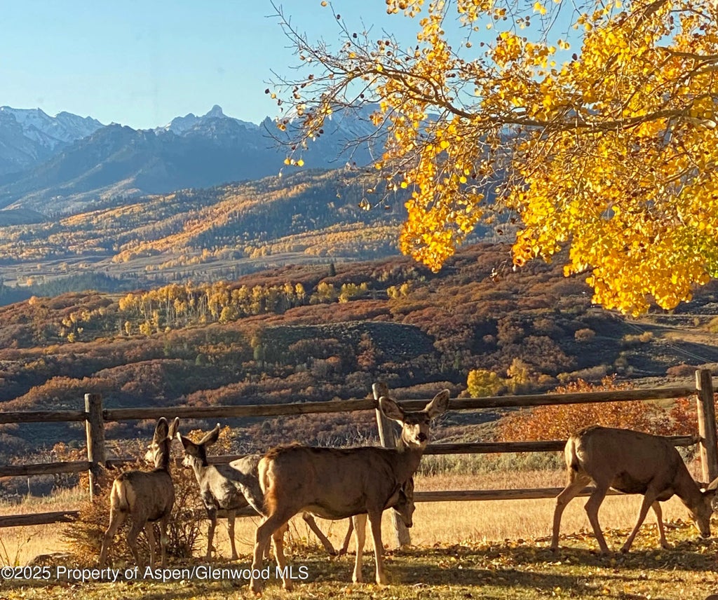 36 of 37 - 22000 P77 Rd Road, Cimarron, CO