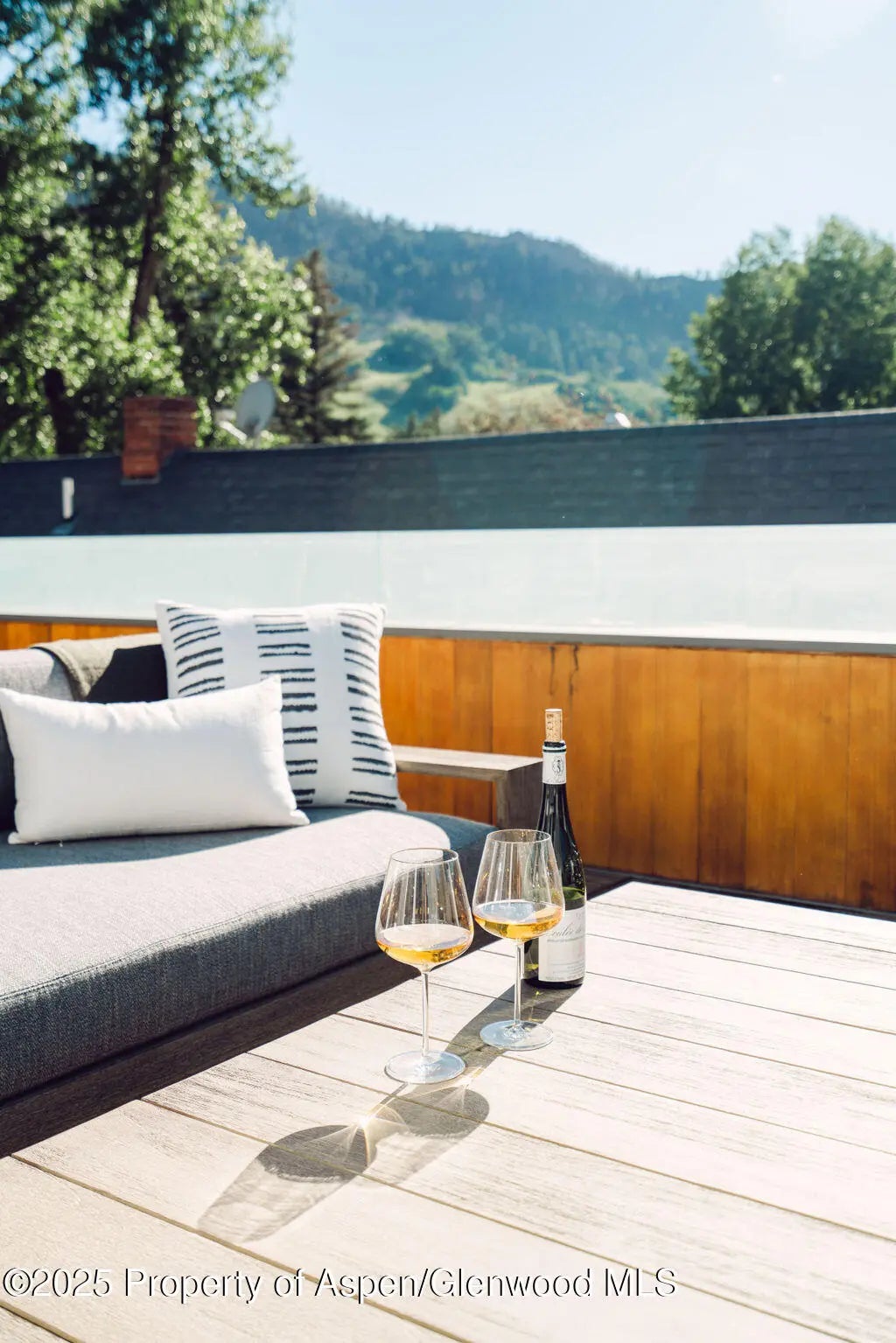 14 of 53 - 1006 E Cooper Avenue, Aspen, CO