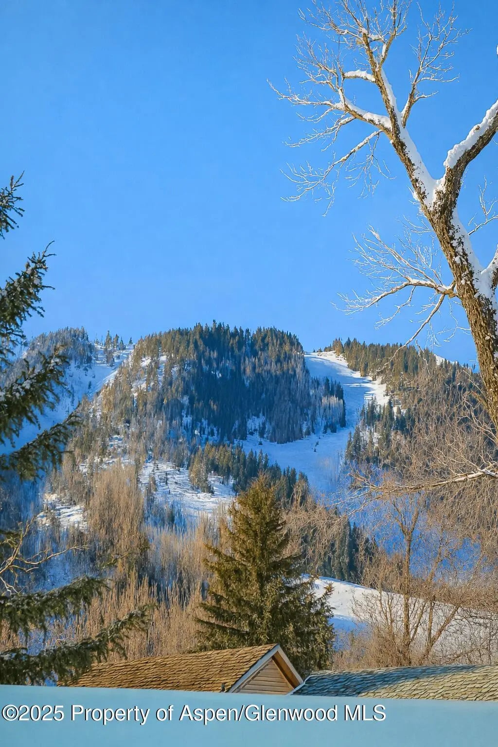 15 of 53 - 1006 E Cooper Avenue, Aspen, CO