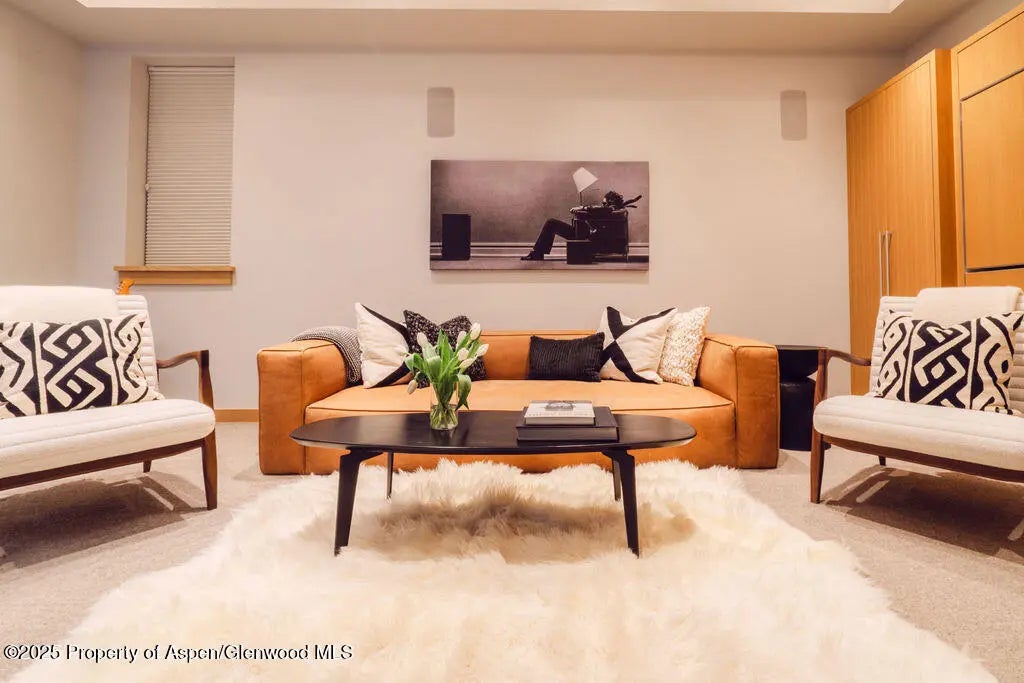 42 of 53 - 1006 E Cooper Avenue, Aspen, CO