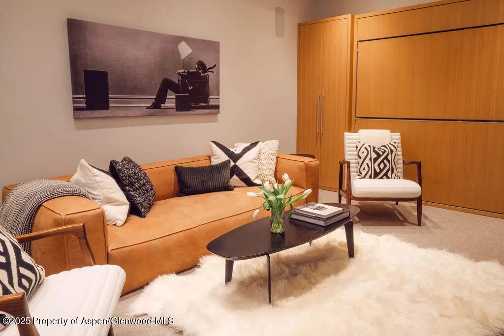 43 of 53 - 1006 E Cooper Avenue, Aspen, CO