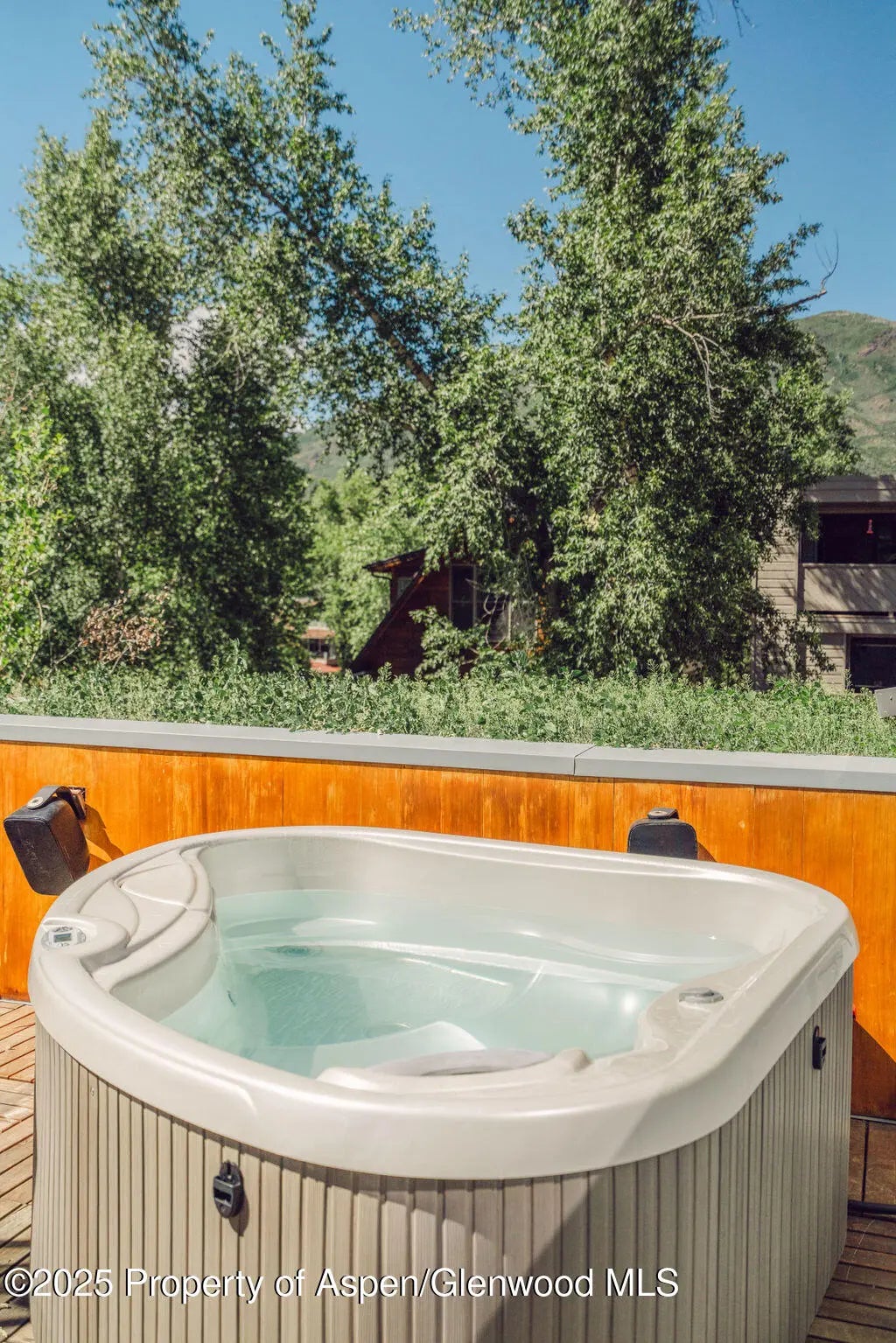 47 of 48 - 1006 E Cooper Avenue, Aspen, CO