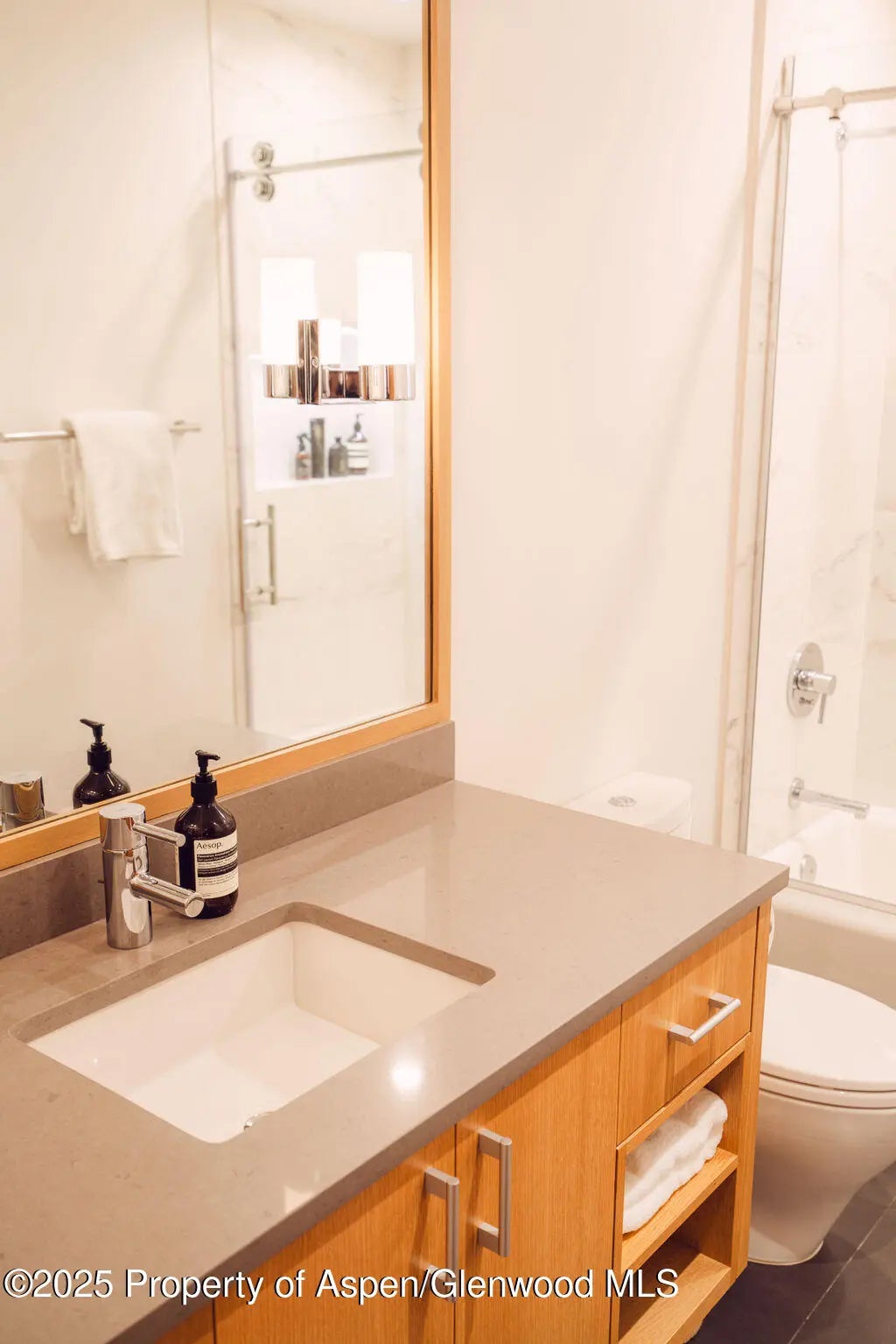 51 of 53 - 1006 E Cooper Avenue, Aspen, CO