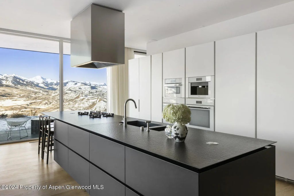 28 of 67 - 542 Carroll Drive, Aspen, CO